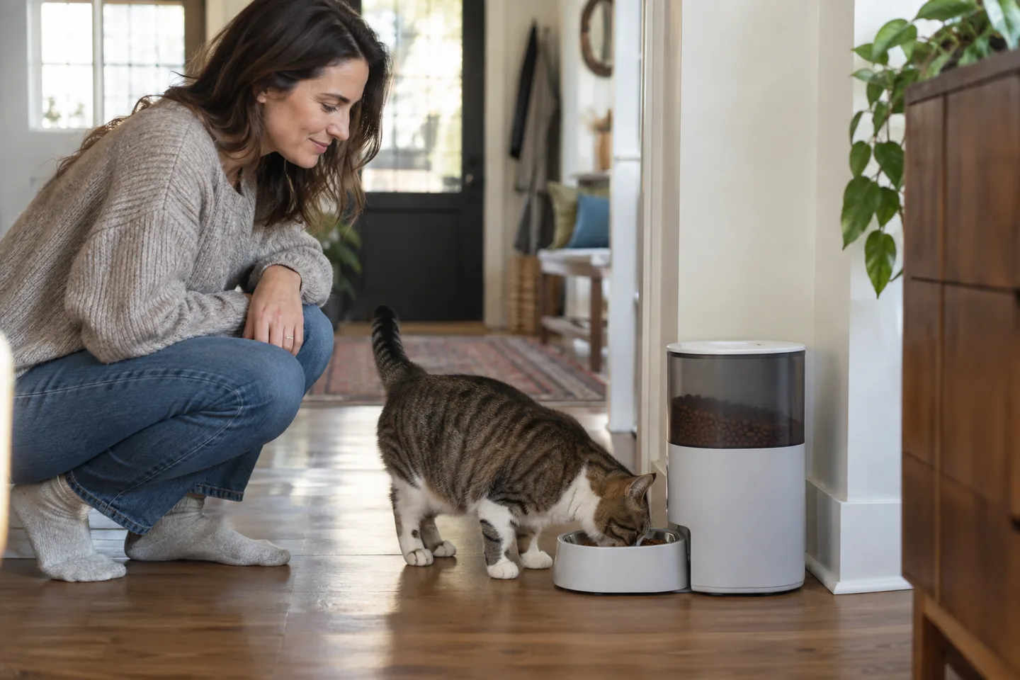 Lifestyle scene for Automatic Feeders for Consistent Daily Schedules